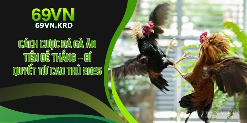 Cách Cược Đá Gà Ăn Tiền