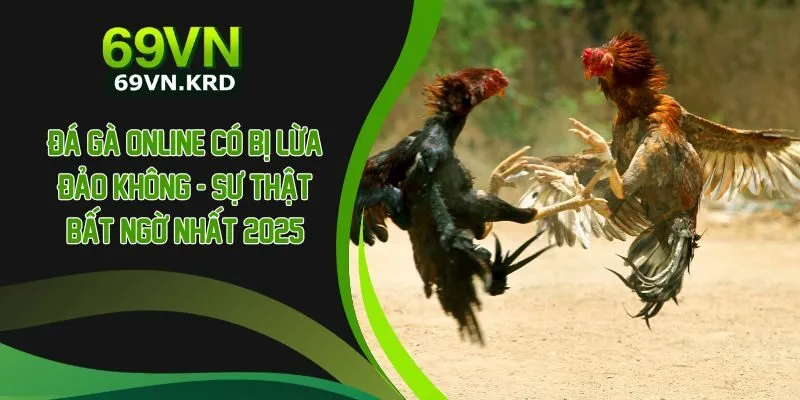 Đá Gà Online Có Bị Lừa Đảo Không